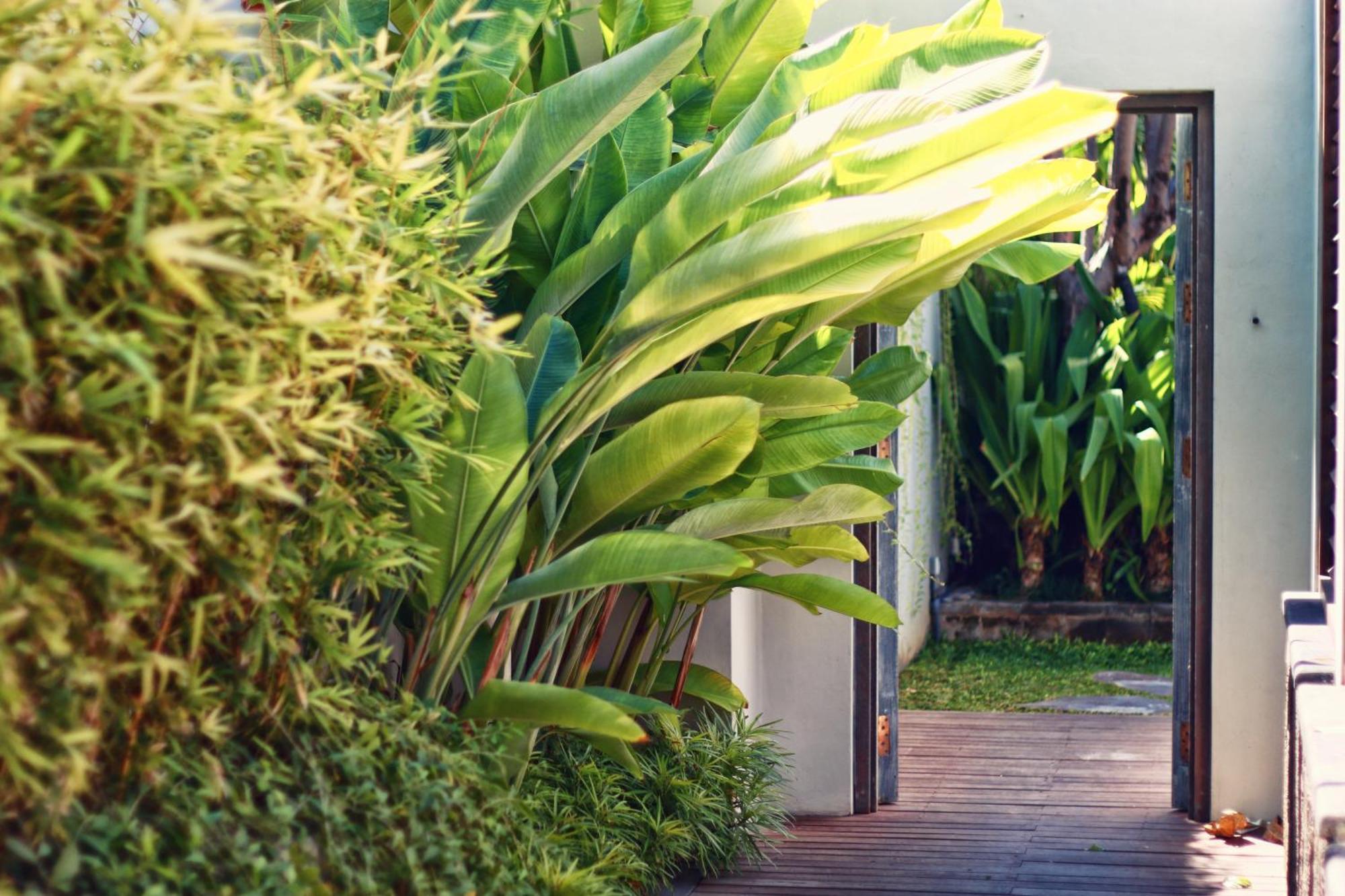 Hu'U Villas Seminyak Habitación foto